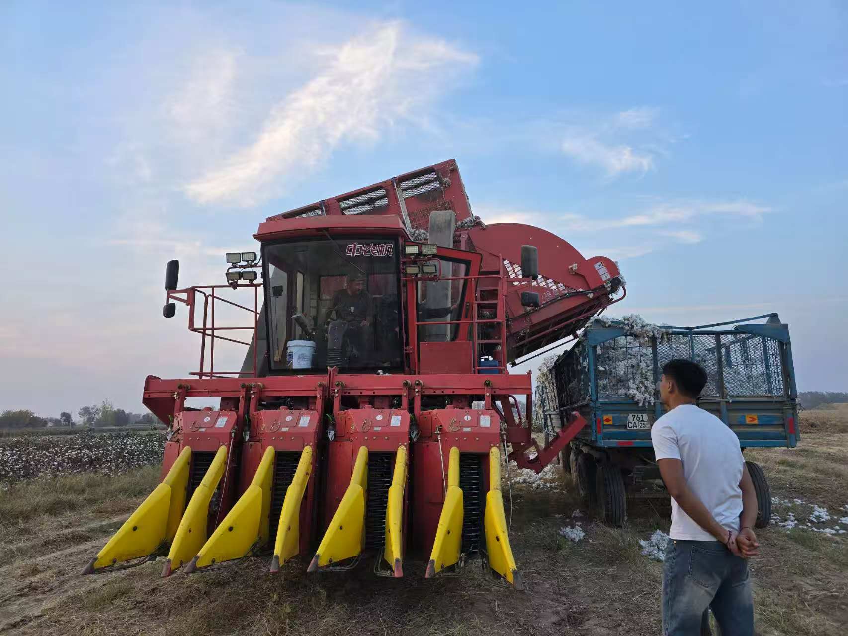pemanen kapas-12